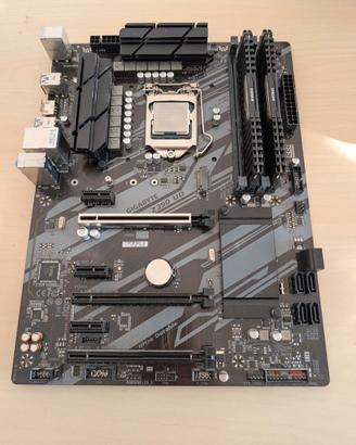 Scheda madre + processore + ram