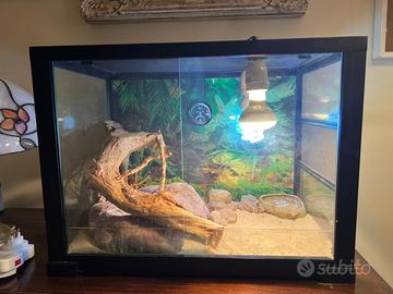 Terrario / Teca per rettili completa di accessori