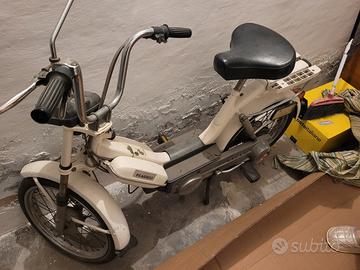 Piaggio Bravo - 1982