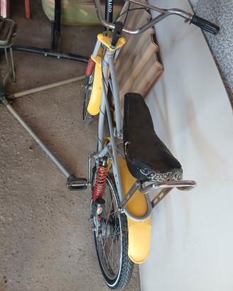 bicicletta 