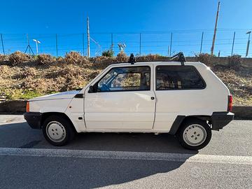 Panda 1.1 young