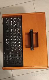 amplificatore per basso e contrabbasso