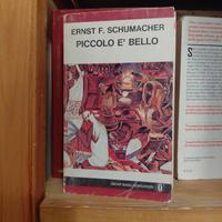 Piccolo è bello – Ernst F. Schumacher
