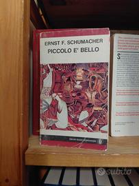 Piccolo è bello – Ernst F. Schumacher
