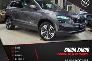 SKODA Karoq 2.0 TDI EVO SCR 115 CV DSG Execut.