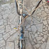 Graziella tre speed da 20