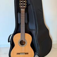 Chitarra JC Torres JTC - 30