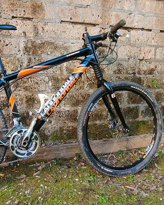cannondale taurine carbonio