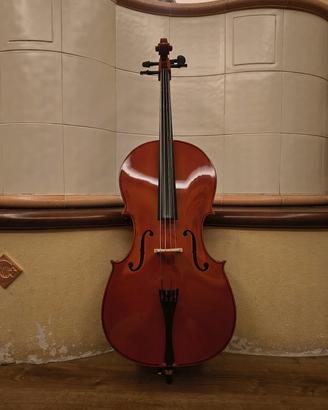 Violoncello 1/2
