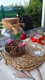 vasi trasparenti per piante