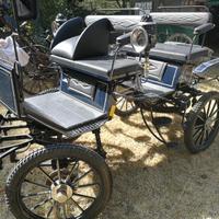 Carrozza tipo Wagonette