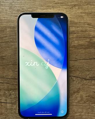 Iohone 12 pro max