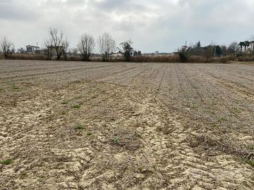 Terreno agricolo
