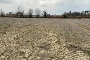 Terreno agricolo