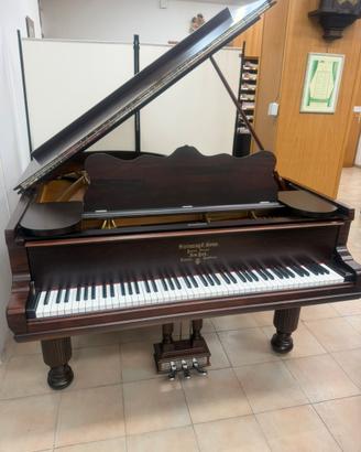 Steinway & Sons Pianoforte a coda