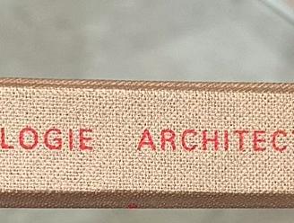 Dogon art antropologie architectuur Joop van Stigt