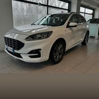 Ford kuda st-line 1.5 cc 120cv manuale
