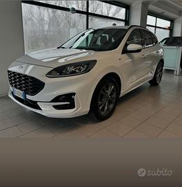 Ford kuda st-line 1.5 cc 120cv manuale
