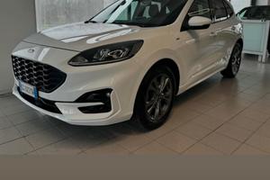 Ford kuda st-line 1.5 cc 120cv manuale