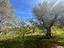 Immagine 15