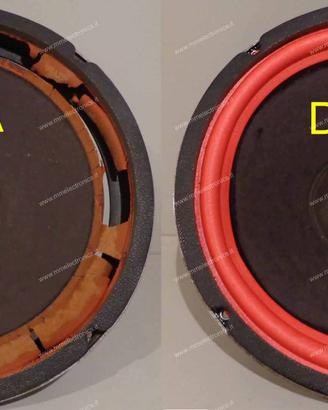 Riparo altoparlanti e amplificatori