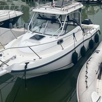 Boston Whaler 255