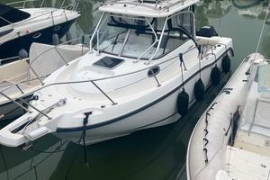 Boston Whaler 255