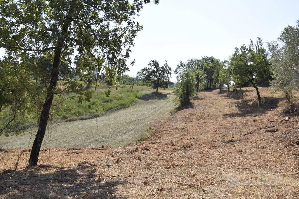 Terreno di 12000 m² a Spigno Saturnia - Vista 4