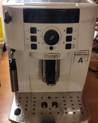 magnificas de longhi