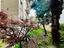 Immagine 30
