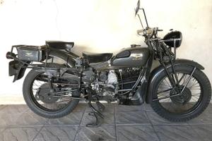 Super alce targa oro fmi