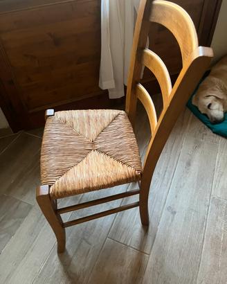 Sedie in legno impagliate