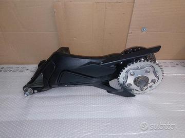 Forcellone posteriore monobraccio brutale 800 800r