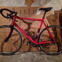Bici da corsa rossa Daccordi