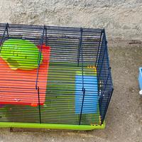 gabbie criceti, roditori