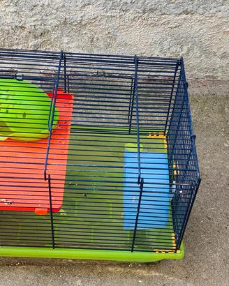 gabbie criceti, roditori