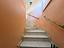 Immagine 11