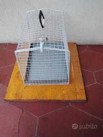trasportini e altro 