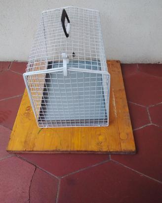 trasportini e altro 