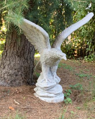 Aquila da giardino