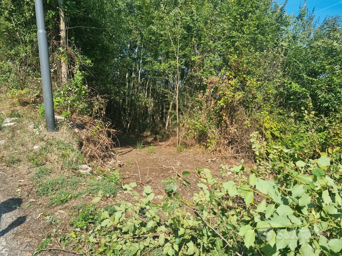 Terreno di mq. 25.000 con rudere di mq. 180 ca - Altro