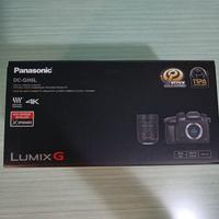 Panasonic DC-GH5L