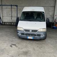 Ducato