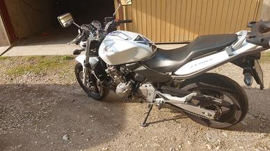 Honda hornet
