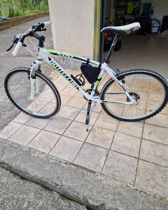 Mountain Bike Bottecchia 500