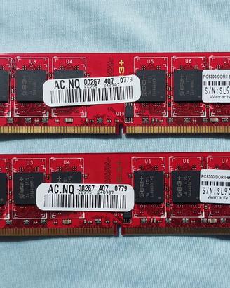 Coppia RAM DDR2 2GB (2x1GB) S3+ 667MHz PC Desktop