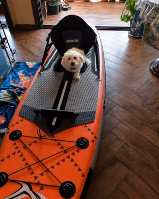 Sup tavola gonfiabile XXL con sedile e d. pagaia