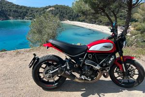 Ducati scrambler 800 icon