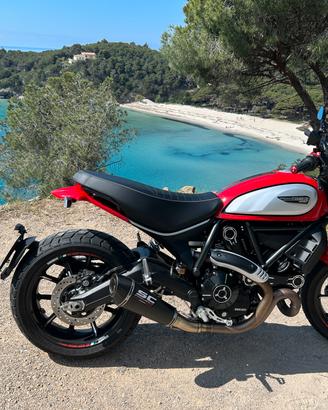 Ducati scrambler 800 icon
