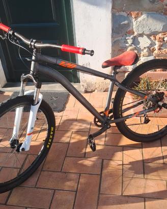 ROCK RIDER ST120